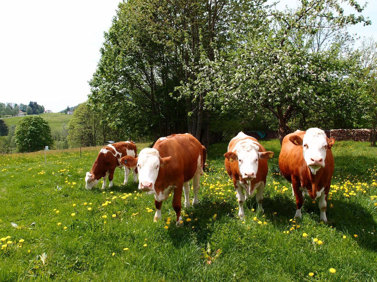 Landhotel Bayerwald Grafling ภายนอก รูปภาพ